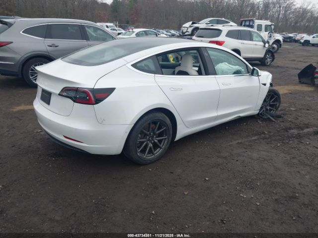 2020 TESLA MODEL 3 5YJ3E1EA5LF615610 Photo 3