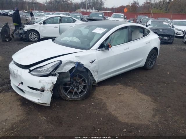 2020 TESLA MODEL 3 5YJ3E1EA5LF615610 Photo 5