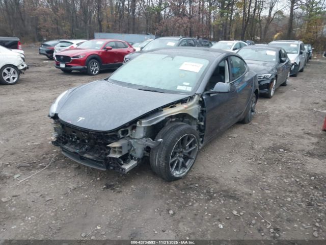 2023 TESLA MODEL 3 5YJ3E1EA5PF395794 Photo 1