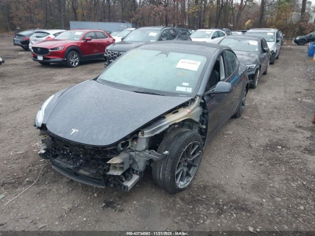 2023 TESLA MODEL 3 5YJ3E1EA5PF395794 Photo 5
