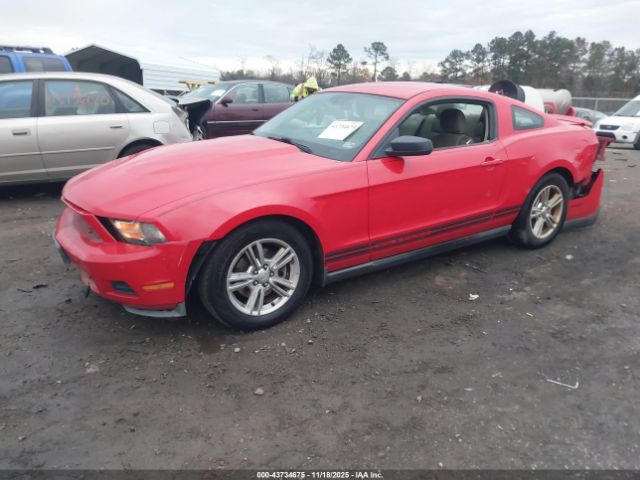 2011 FORD MUSTANG 1ZVBP8AM7B5115752 Photo 1