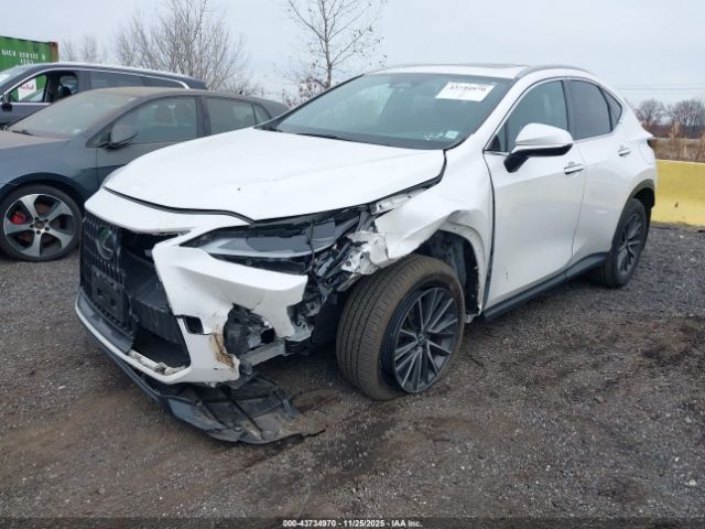 2024 LEXUS NX 350 2T2AGCEZ3RC041293 Photo 1