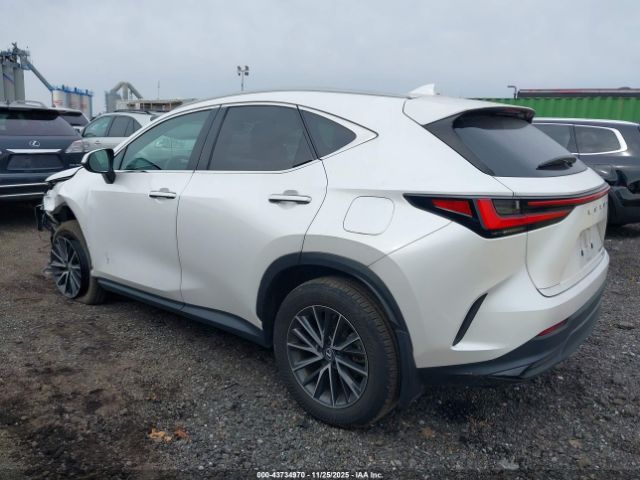 2024 LEXUS NX 350 2T2AGCEZ3RC041293 Photo 2