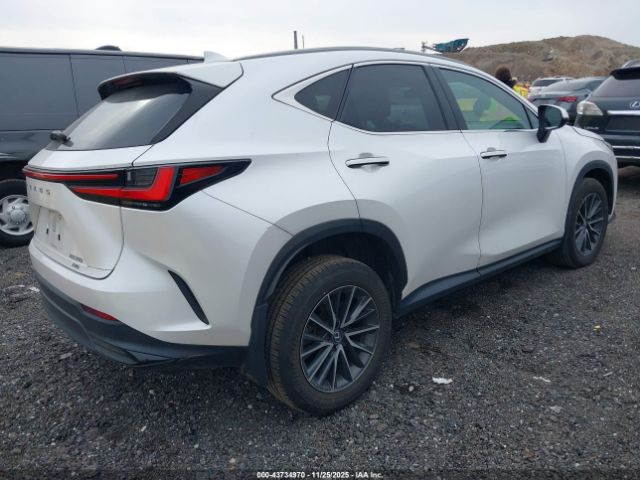 2024 LEXUS NX 350 2T2AGCEZ3RC041293 Photo 3
