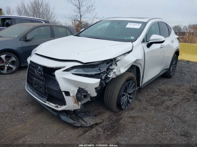 2024 LEXUS NX 350 2T2AGCEZ3RC041293 Photo 5