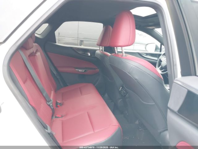 2024 LEXUS NX 350 2T2AGCEZ3RC041293 Photo 7