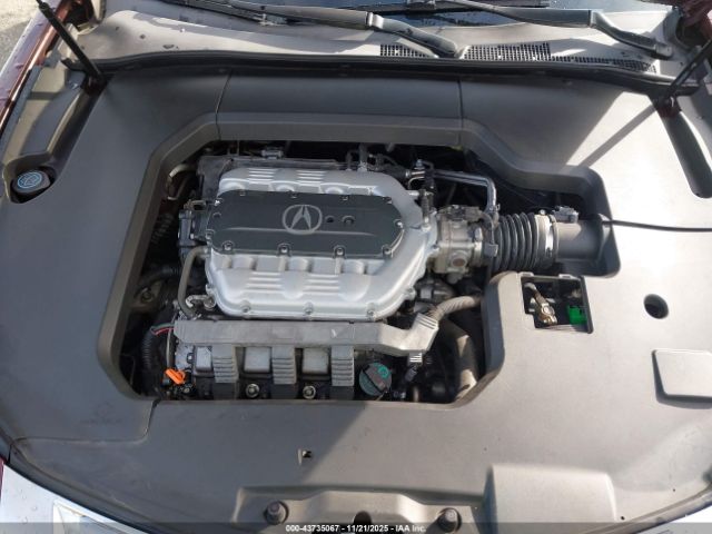 2009 ACURA TL 19UUA86559A007020 Photo 9