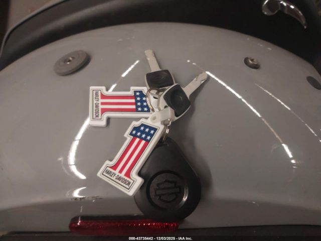 2024 HARLEY-DAVIDSON FXLRST 1HD1YXZ14RB051535 Photo 10