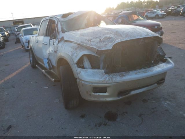 2009 DODGE RAM 1500 1D3HB13T19S735555