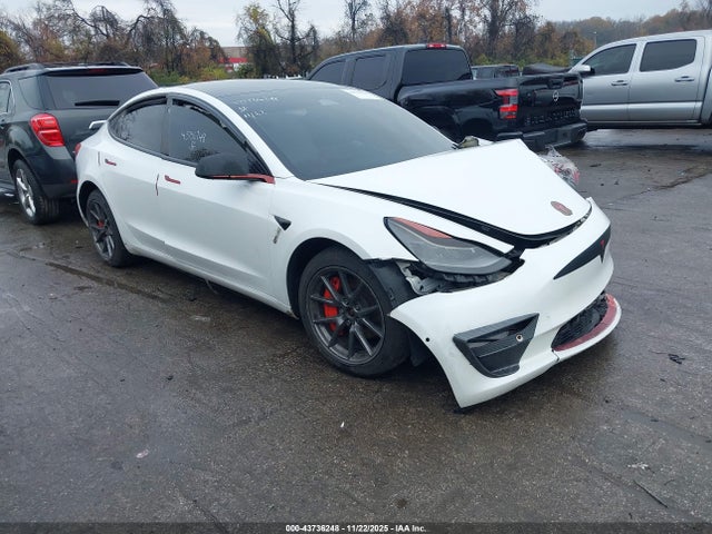 2021 TESLA MODEL 3 5YJ3E1EB2MF981504 Photo 0