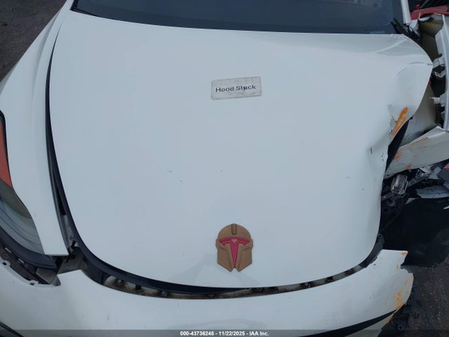 2021 TESLA MODEL 3 5YJ3E1EB2MF981504 Photo 9