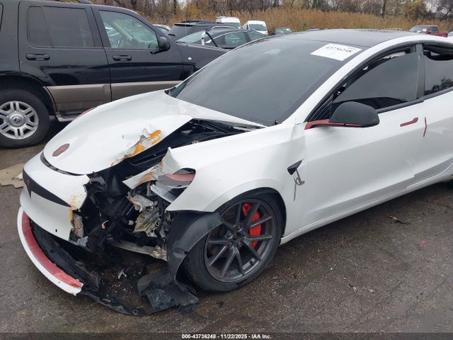 2021 TESLA MODEL 3 5YJ3E1EB2MF981504 Photo 5