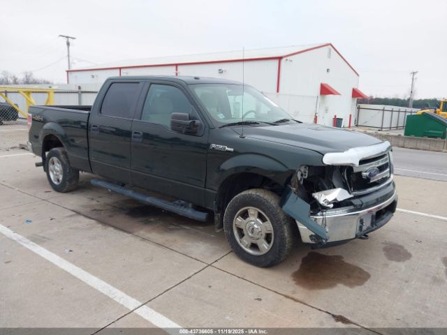 2013 FORD F-150 1FTFW1EF1DFD05957