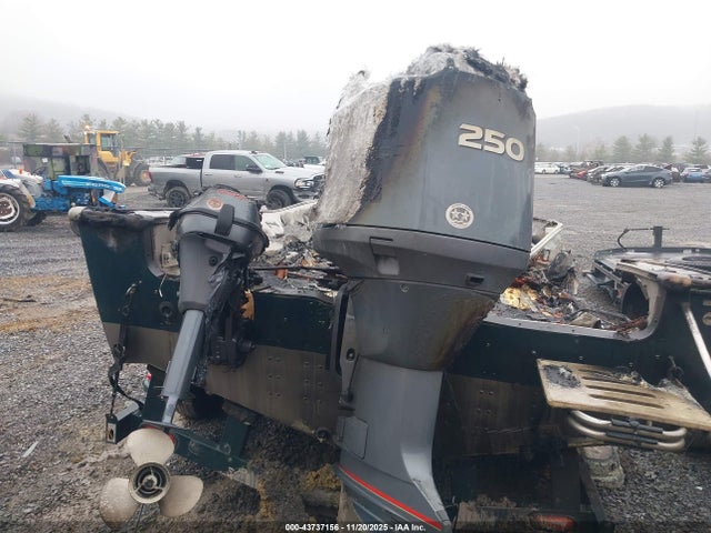 Продажа на аукционе авто 2003 Lund Pro V 205 Boat And Trailer, vin: LUNBY187G203, номер лота: 43737156