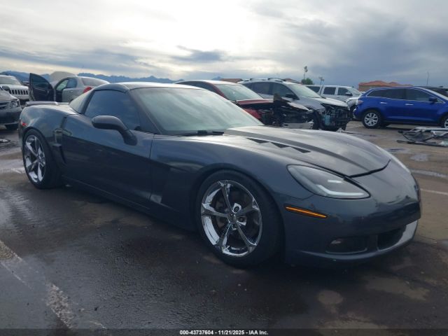 2009 CHEVROLET CORVETTE 1G1YY26W395101951
