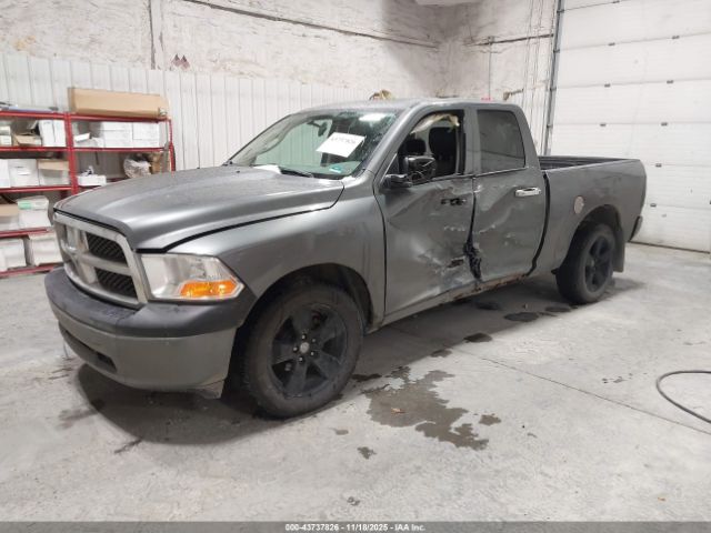 2010 DODGE RAM 1500 1D7RV1GP1AS256371 Photo 1
