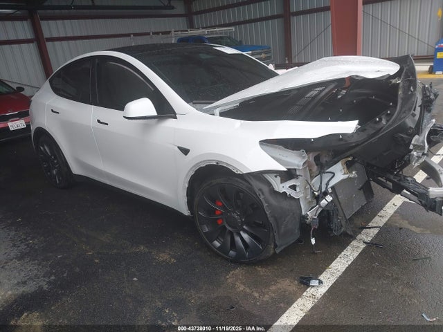 2024 TESLA MODEL Y 7SAYGDEF6RF107770 Photo 0