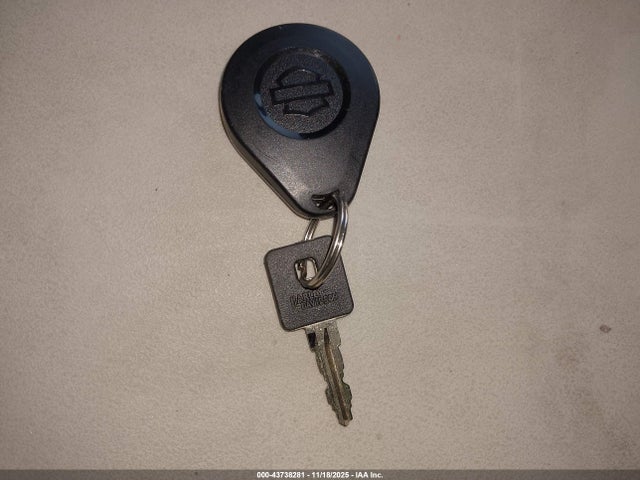 2022 HARLEY-DAVIDSON XL883 1HD4LE215NB403655 Photo 10