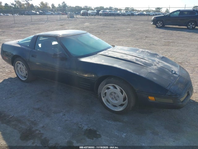 1991 CHEVROLET CORVETTE 1G1YY2382M5103110