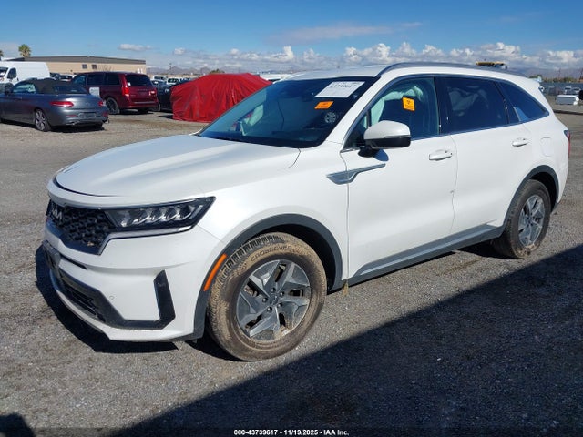 KNDRH4LG9P5178700 KIA Sorento Hybrid Ex