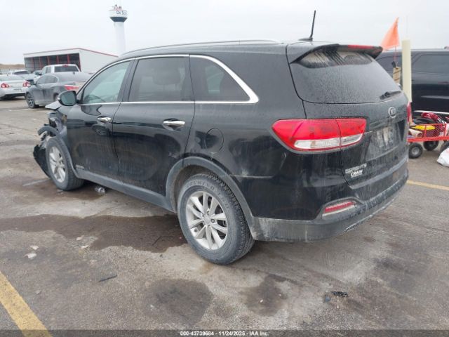 2017 KIA SORENTO 5XYPGDA53HG198283 Photo 2