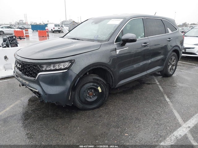 KIA SORENTO LX 2023 5XYRG4LC7PG202273 Image 2