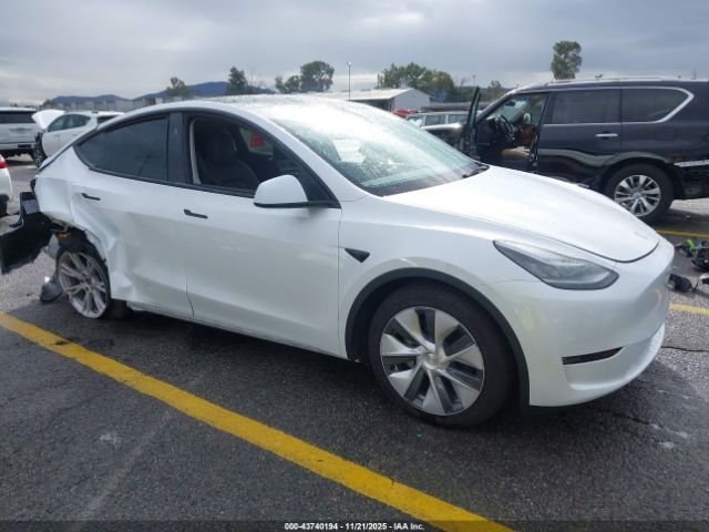 2023 TESLA MODEL Y 7SAYGDEE0PA129801 Photo 0