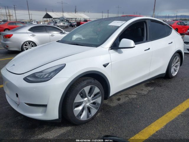 2023 TESLA MODEL Y 7SAYGDEE0PA129801 Photo 1