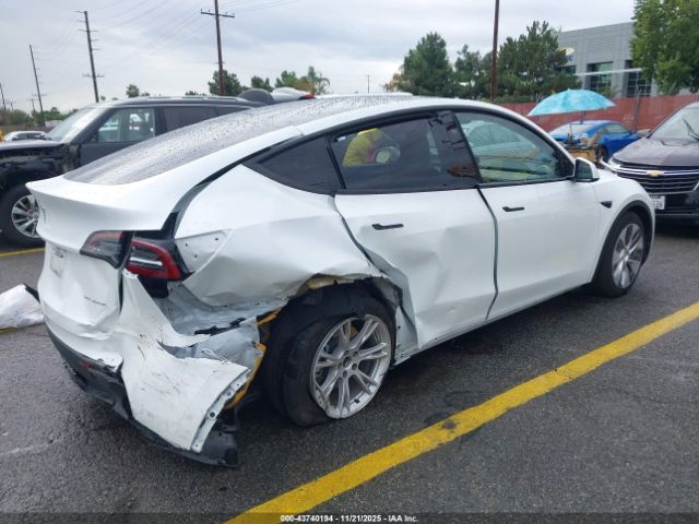 2023 TESLA MODEL Y 7SAYGDEE0PA129801 Photo 3