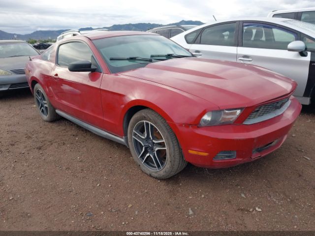 2010 FORD MUSTANG 1ZVBP8ANXA5143374
