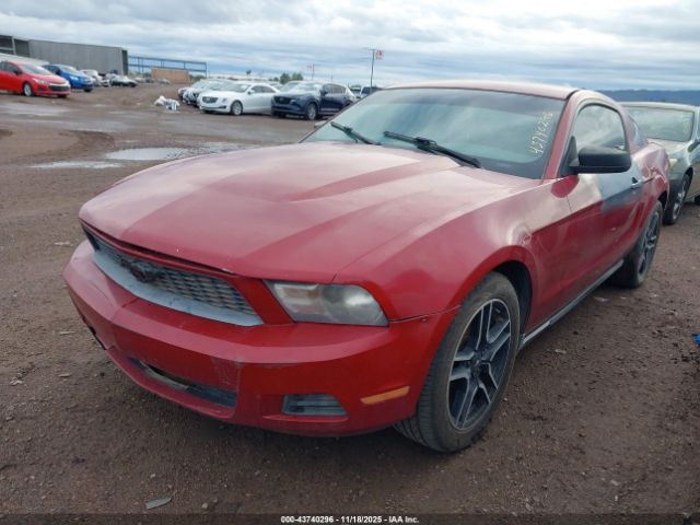 2010 FORD MUSTANG 1ZVBP8ANXA5143374 Photo 1