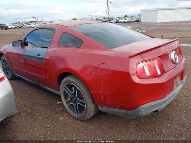 2010 FORD MUSTANG 1ZVBP8ANXA5143374 Photo 2