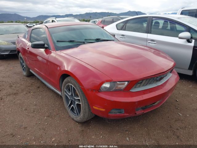 2010 FORD MUSTANG 1ZVBP8ANXA5143374 Photo 5