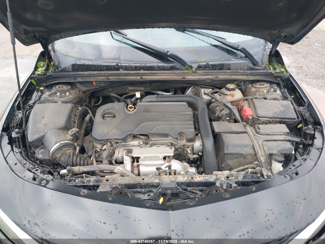 2019 CHEVROLET MALIBU 1G1ZD5STXKF221405 Photo 9