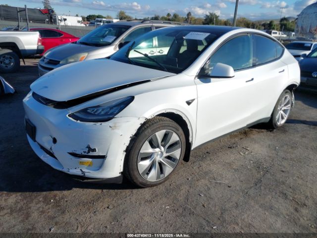 2022 TESLA MODEL Y 7SAYGDEE1NF434806 Photo 1
