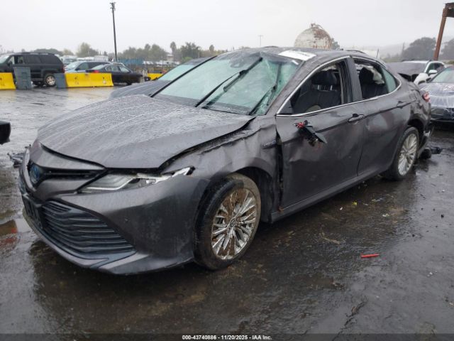 2019 TOYOTA CAMRY HYBRID 4T1B21HK7KU517348 Photo 1