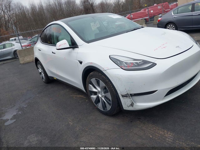 2021 TESLA MODEL Y 5YJYGDEE0MF251537 Photo 0
