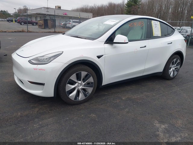 2021 TESLA MODEL Y 5YJYGDEE0MF251537 Photo 1