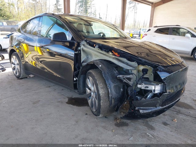 2023 TESLA MODEL Y 7SAYGDEE3PF624982 Photo 0