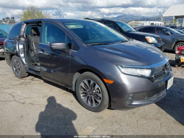 2023 HONDA ODYSSEY 5FNRL6H6XPB058364