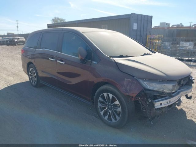 2021 HONDA ODYSSEY 5FNRL6H77MB023883