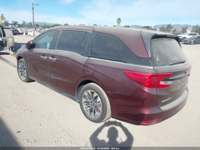 2021 HONDA ODYSSEY 5FNRL6H77MB023883 Photo 2