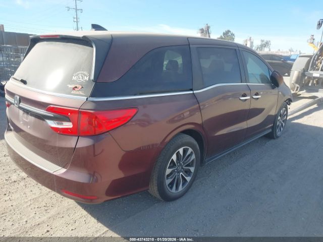 2021 HONDA ODYSSEY 5FNRL6H77MB023883 Photo 3
