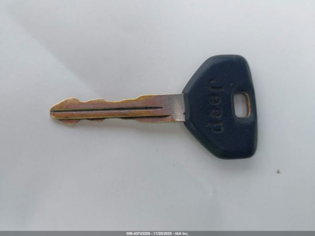 1999 JEEP WRANGLER 1J4FY19S8XP409324 Photo 10