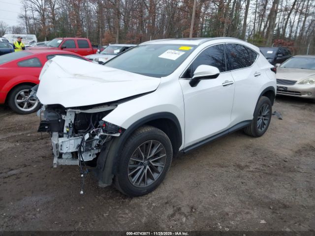 2024 LEXUS NX 350 2T2GGCEZ3RC039506 Photo 1