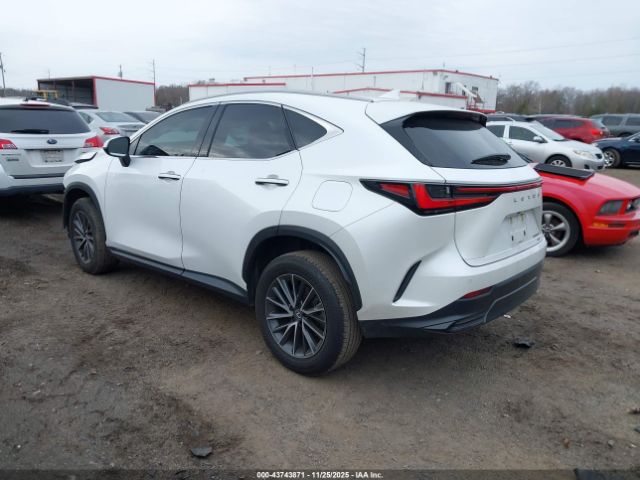 2024 LEXUS NX 350 2T2GGCEZ3RC039506 Photo 2