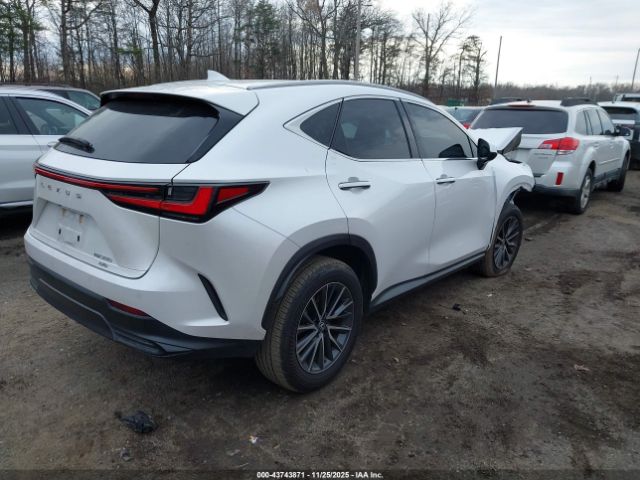 2024 LEXUS NX 350 2T2GGCEZ3RC039506 Photo 3