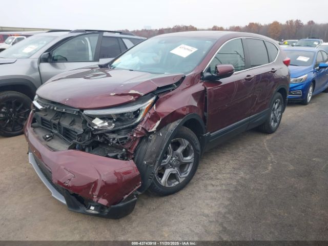 2019 HONDA CR-V 2HKRW2H80KH614399 Photo 1