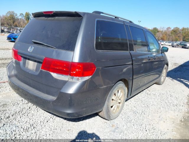 2010 HONDA ODYSSEY 5FNRL3H74AB082030 Photo 3