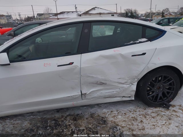 2025 TESLA MODEL 3 5YJ3E1EB6SF876848 Photo 5